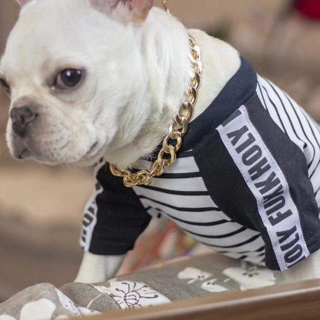 Цепочка на собаку