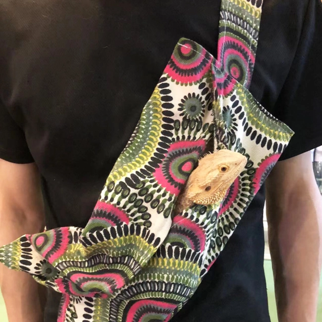 Переноска для ящерицы