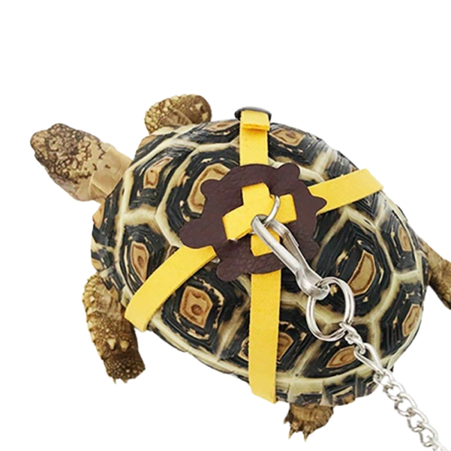 поводок для маленьких черепах