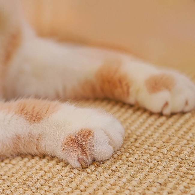 купить настенную когтеточку для кота