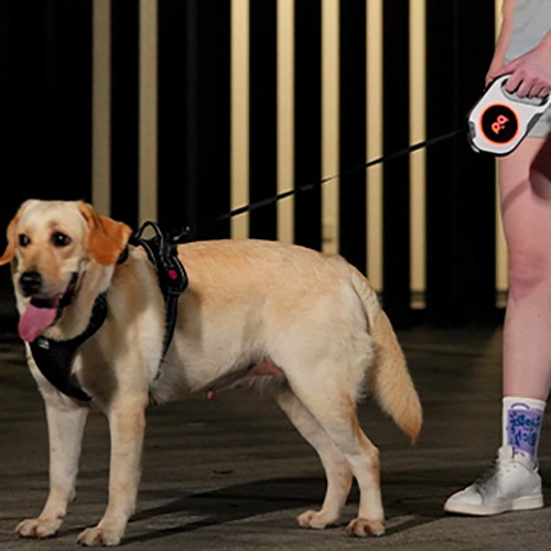 поводок с фонариком и подсветкой