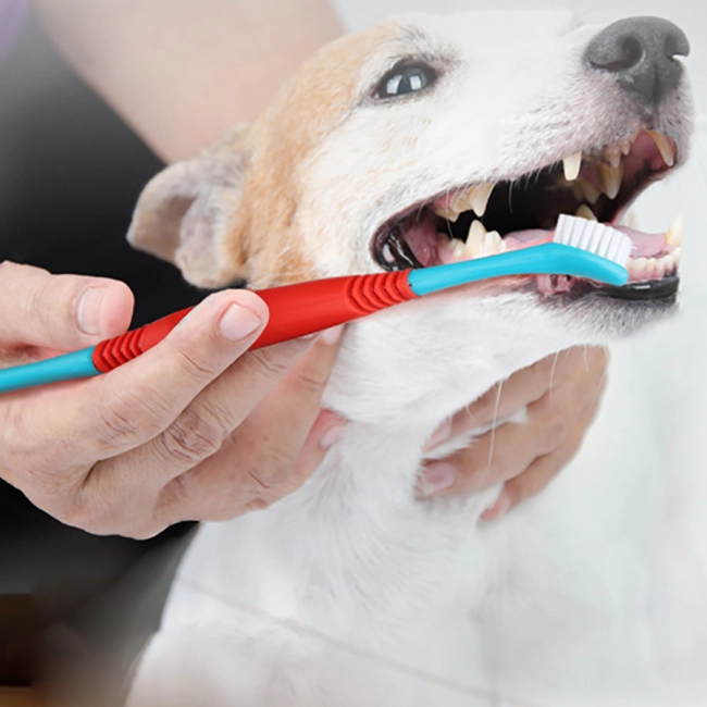 зубна щітка для собак