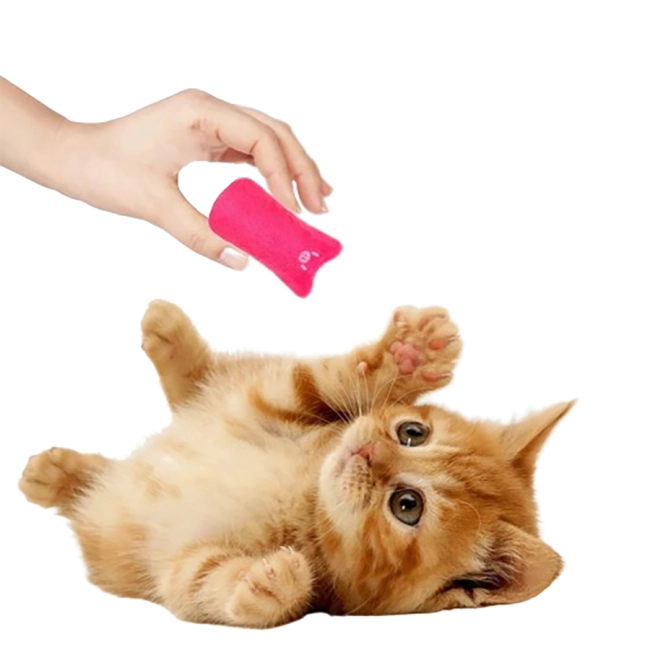 м'яка іграшка для кота