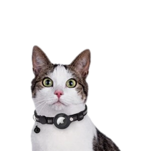 AirTag ошейник для кошки