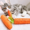 игрушки для котёнков