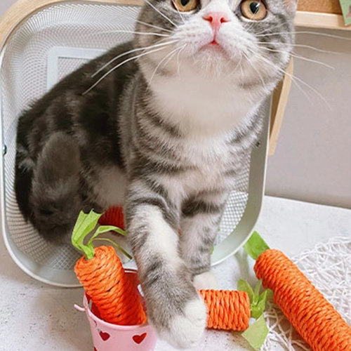 мягкая игрушка для кота