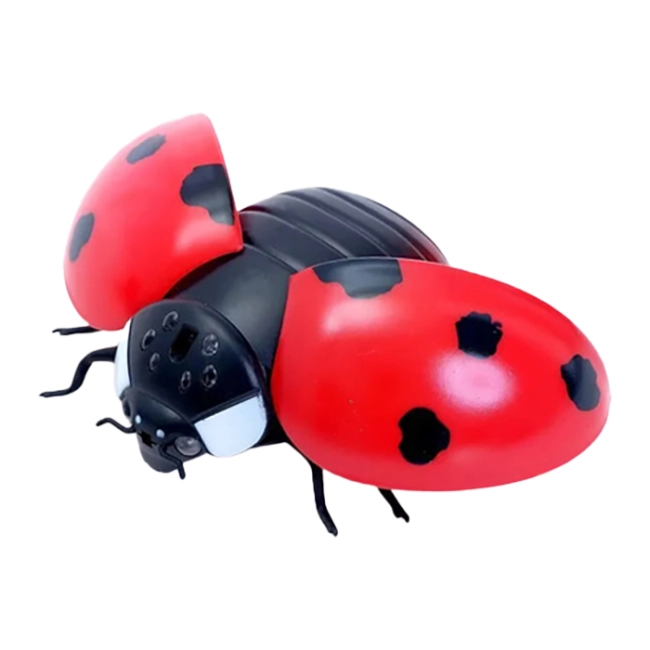 божья коровка на пульте управления