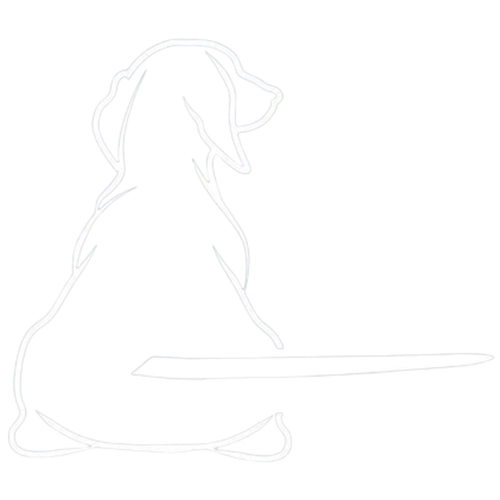 Наклейка на машину на заднее стекло