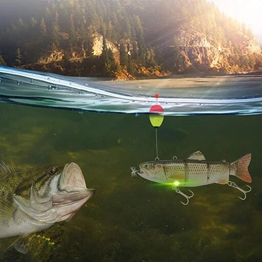 Купить электронную приманку