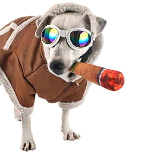 плюшева іграшка для собак