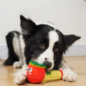 мягкая игрушка для собак