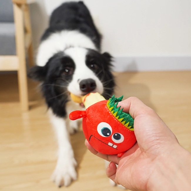 жевательная игрушка для собак