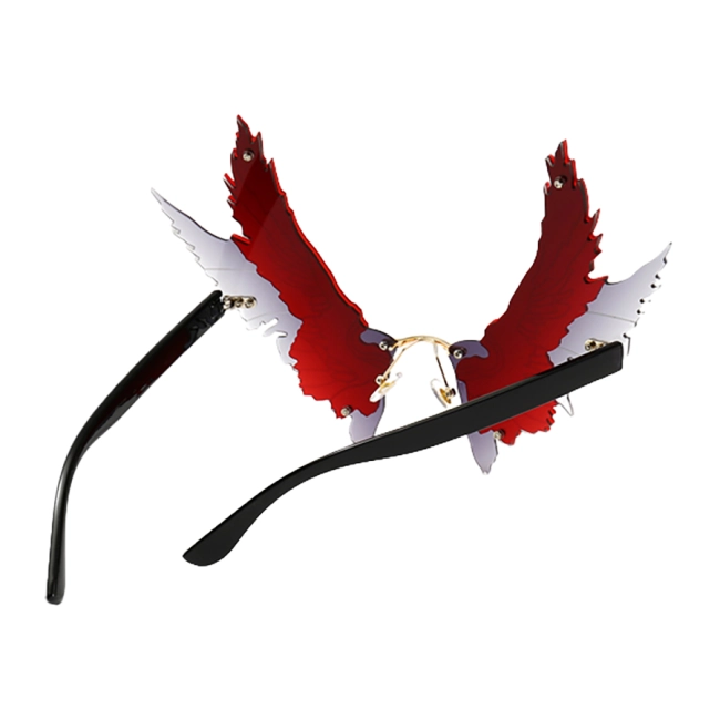 очки в виде крыльев