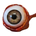 Вырванный глаз