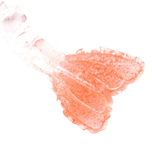 Купить приманку креветка