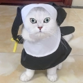 Одяг на хеллоуїн для тварин