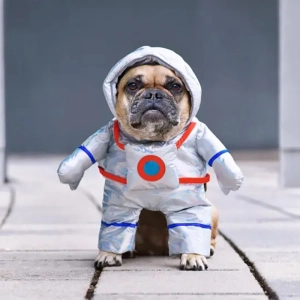 Комбинезон для собак в виде космонавта комбинезон для собак