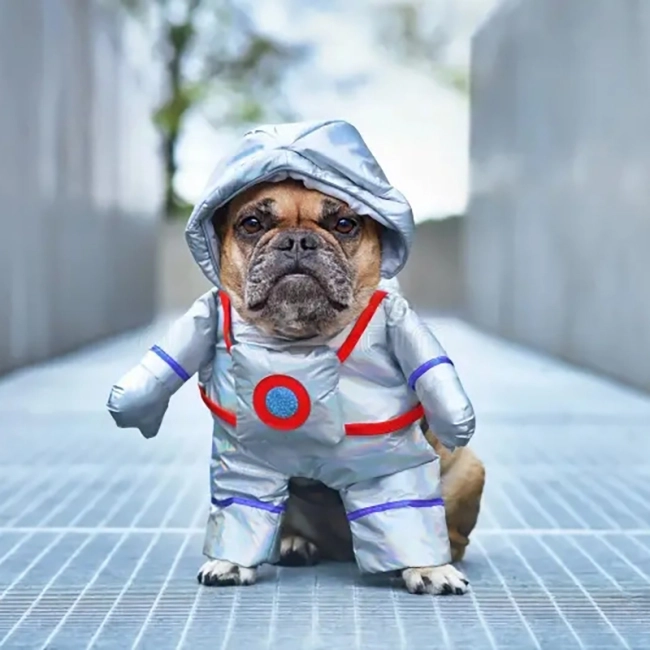 космический костюм для собак