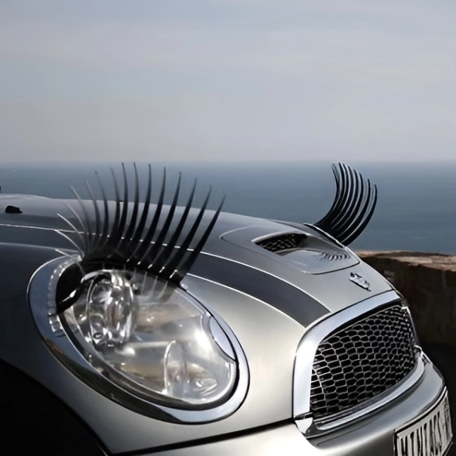 ресницы для автомобиля