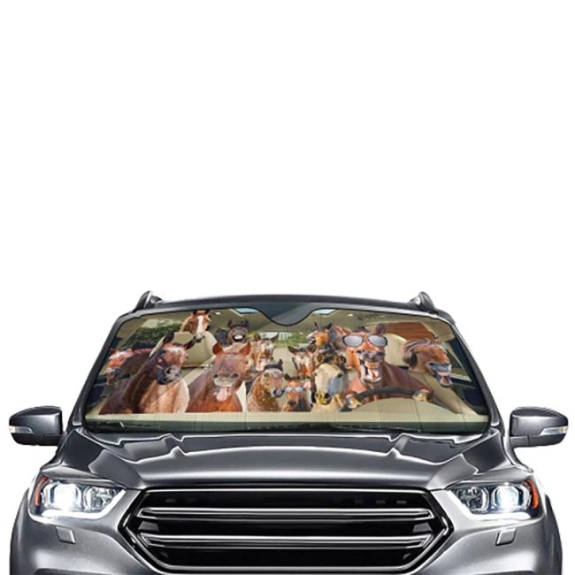 солнцезащитный козырек для машины