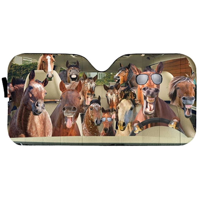 автомобильный отражатель на стекло