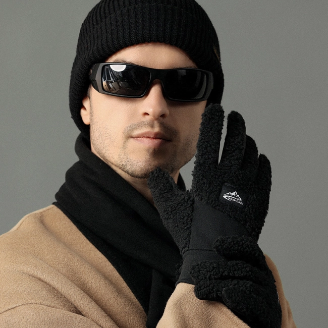 Пара зимних перчаток