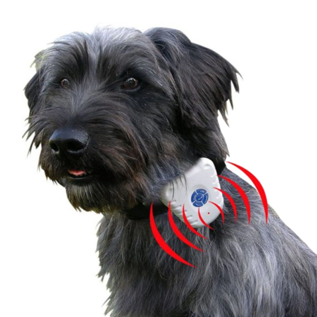 ультразвуковой ошейник