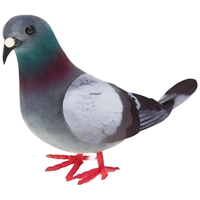 Модель голуба