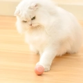 интерактивный мячик для кота