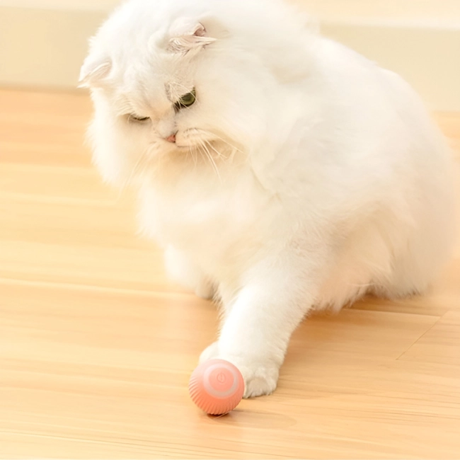 інтерактивний м'ячик для кота