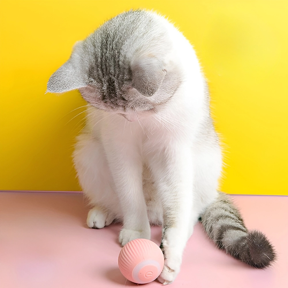 розумний м'ячик для кота