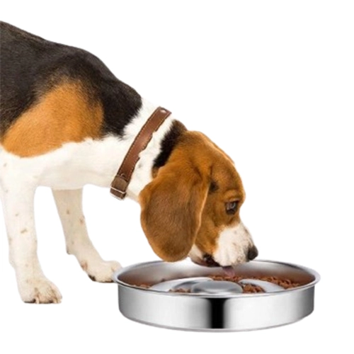 Миска для медленного питания