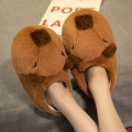 капці з капібарою