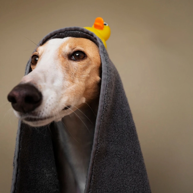 швидковисихаючий рушник для тварин