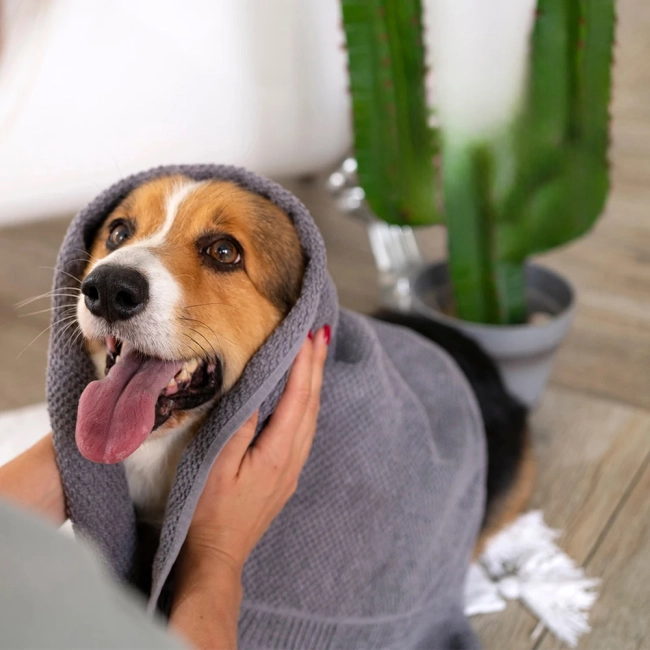 рушник для домашніх улюбленців