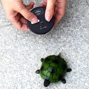 Черепаха на пульте управления