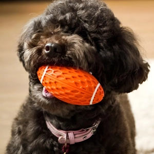 игрушка мяч для собак