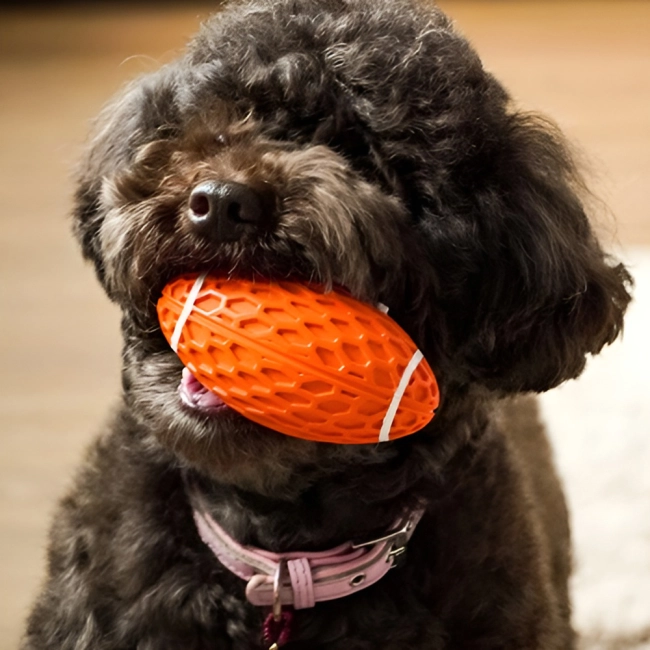 іграшка м'яч для собак