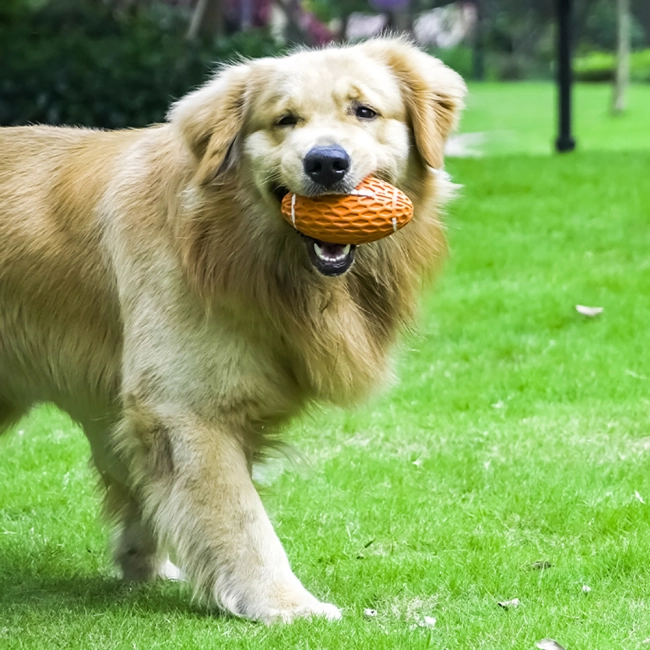 м'яч зі звуком для собак