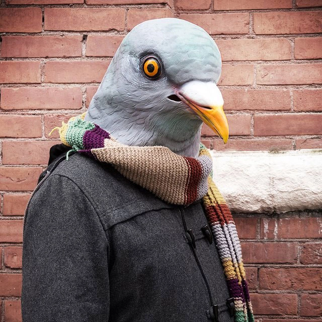 купити маску голуба