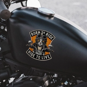 наклейка для мотоцикла с рисунком