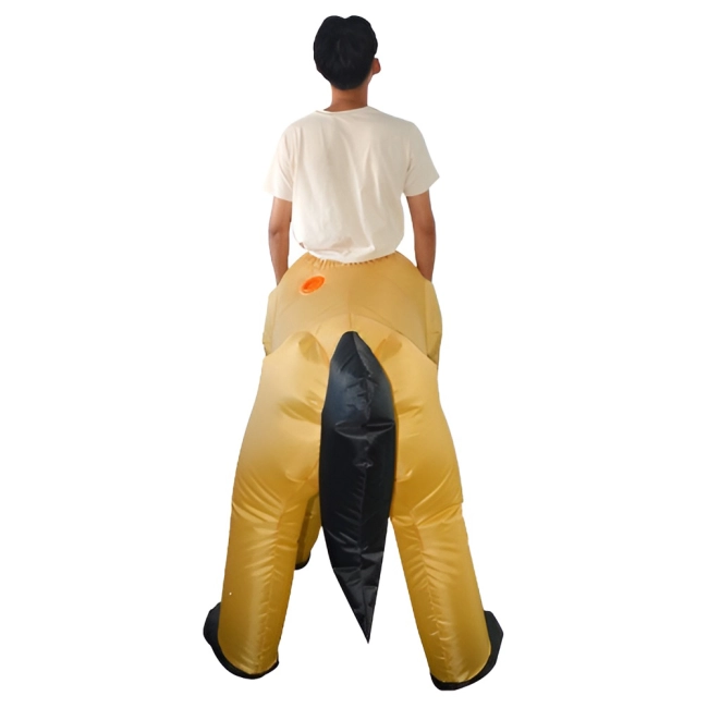 Костюм пол коня