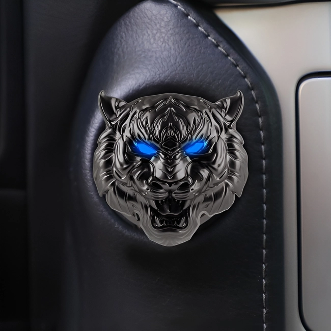 Защита для зажигания в автомобиль