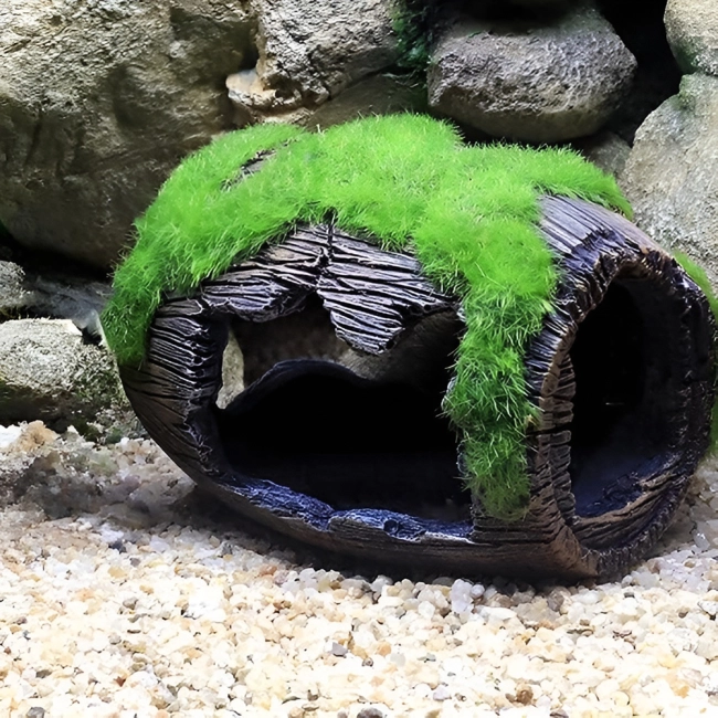 декорація в акваріум із мохом