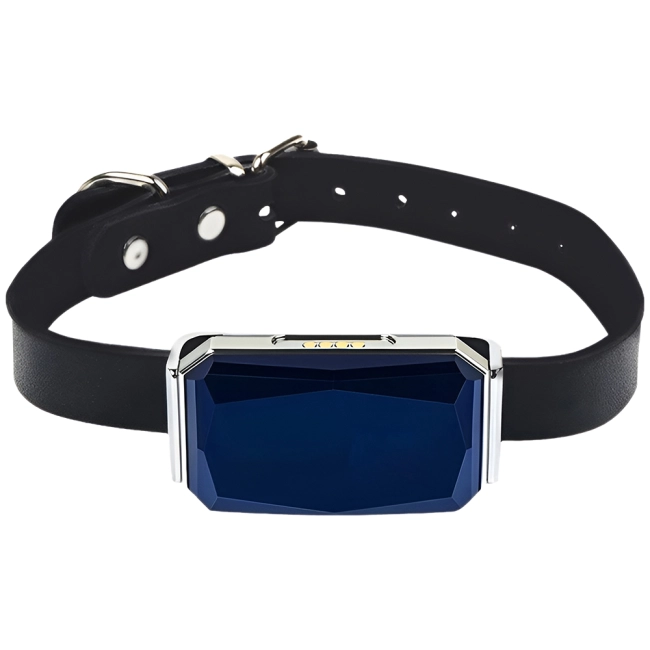 ошейник с трекером для собак