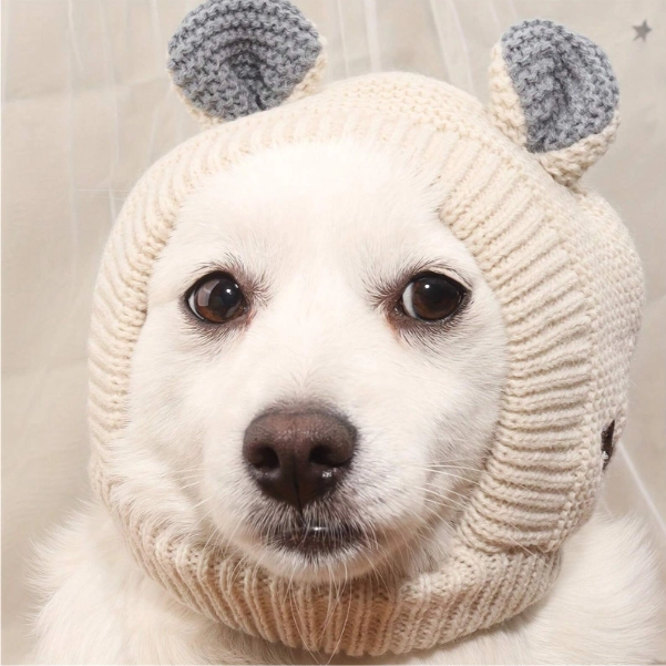 Собачья балаклава