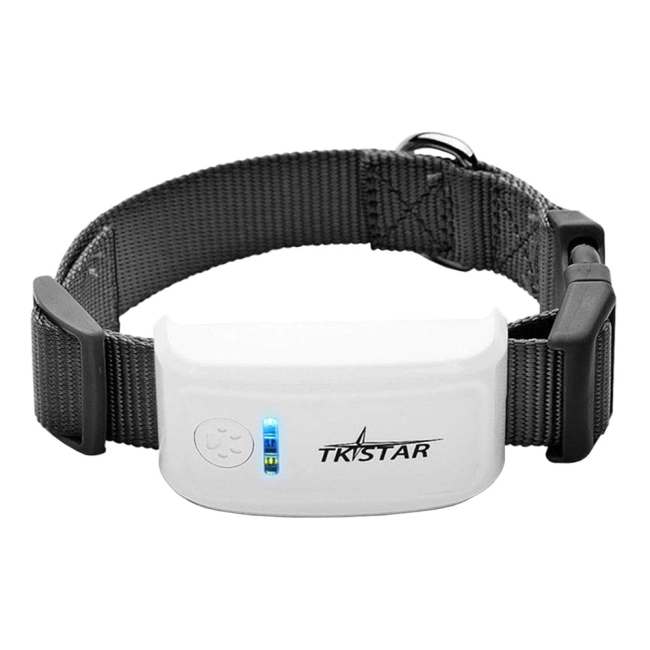 ошейник с GPS