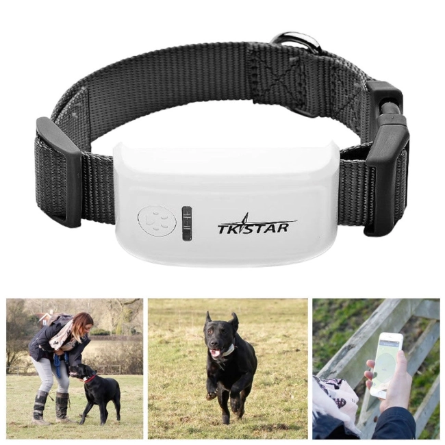 GPS ошейник для домашних животных