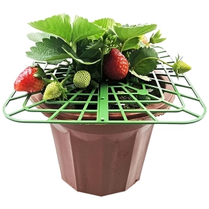 Набор опор для клубники из 5 шт опоры для клубники