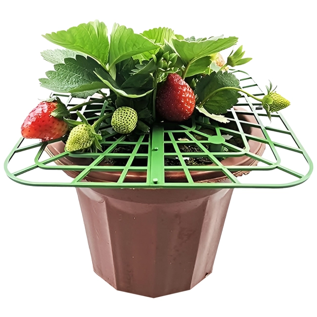 опор для полуниці